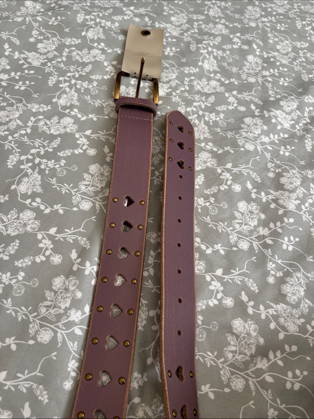 silence + noise Brown Leather Belt with Heart Cutouts LG